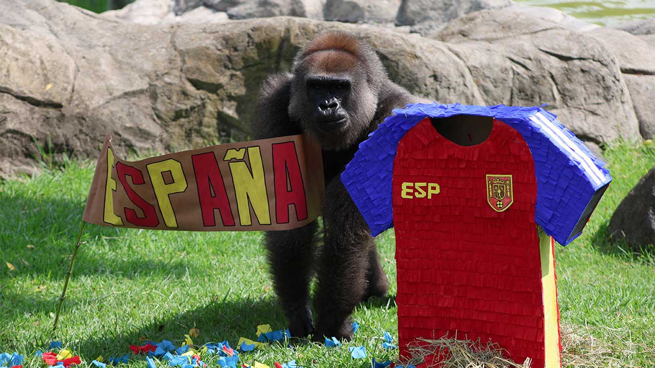 Zoo Mexico hidupkan semula tradisi ‘ramalan haiwan’ menjelang Piala Dunia 2026
