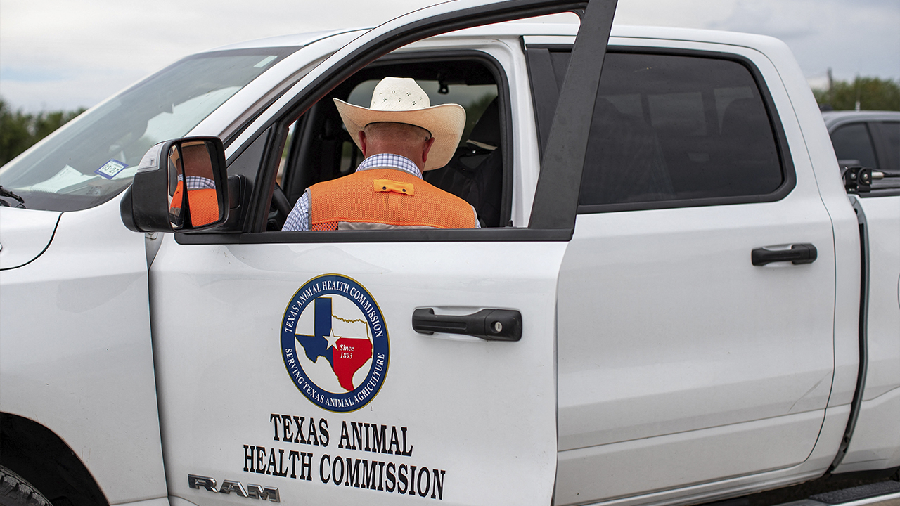 AS sahkan kes kedua lalat cacing skru di Texas