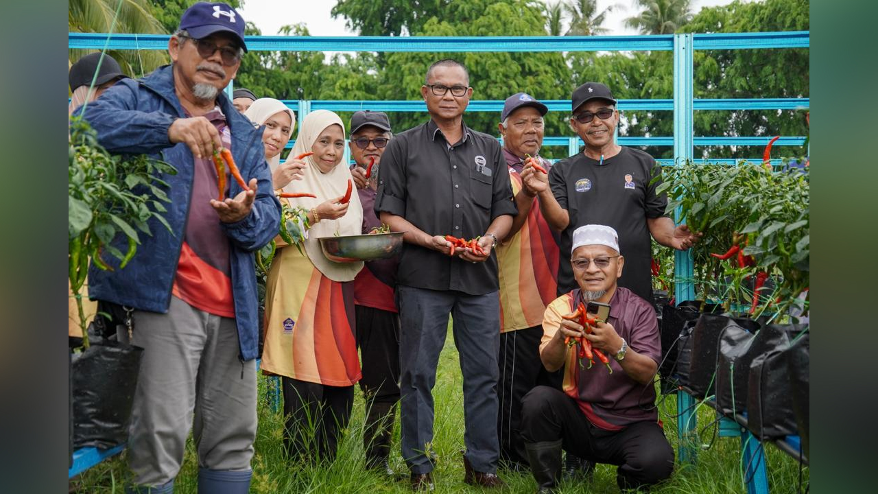 Teknologi Cili MARDI bantu tingkat produktiviti, k