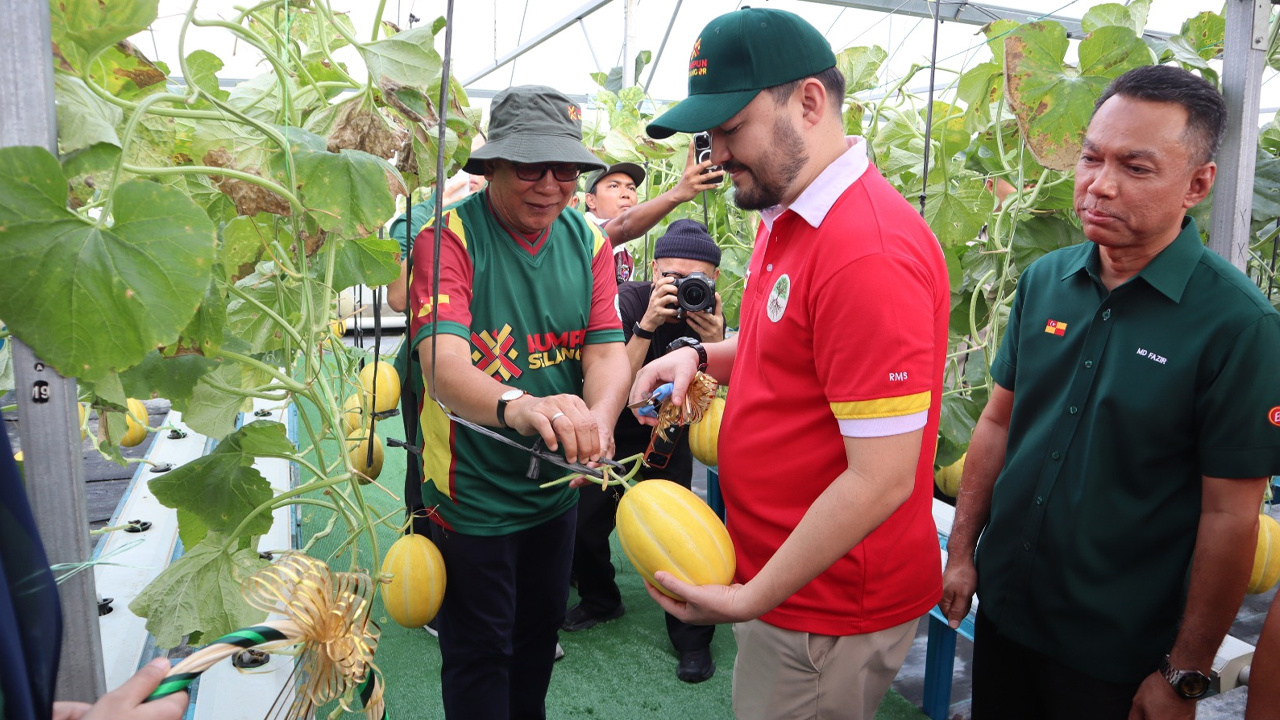 Projek melon PKPS perkukuh ekonomi luar bandar, ja